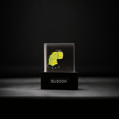 Quboox™ Cyber Cube Display